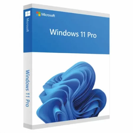 WINDOWS 11 PRO 64 BIT ITALIANO